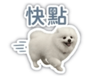839782020