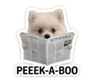 839782240