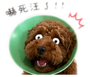 839782522