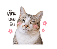 839784949