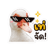 839785196