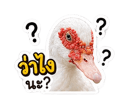 839785200