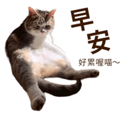 839787074