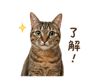 839788641