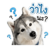 839789924
