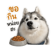839789934
