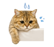 839790305