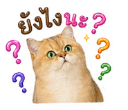 839790595
