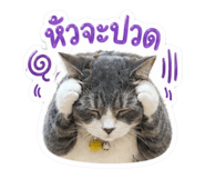 839790614