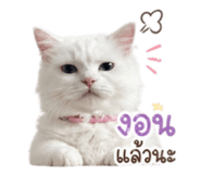 839790957