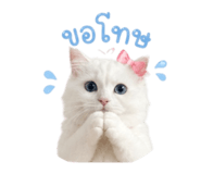839790958