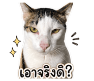 839791003