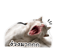839791008
