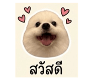 839793201