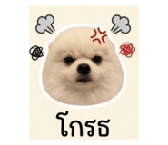 839793202