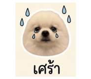 839793203