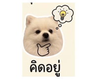 839793208