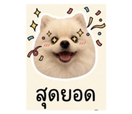 839793209