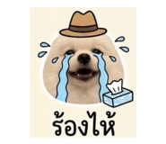 839793211