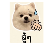 839793214