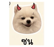 839793215