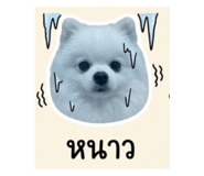 839793216