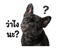 839794274