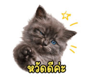 839795514