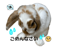 839795814