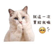 839796003