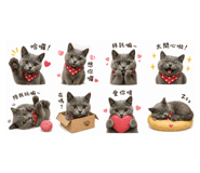 839796098