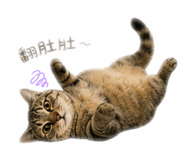 839796793