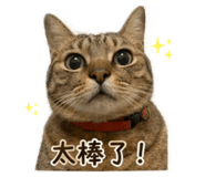 839796993