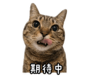 839796999