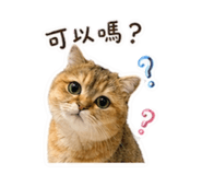 839797839
