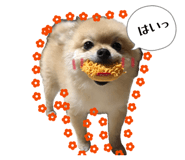 839799025