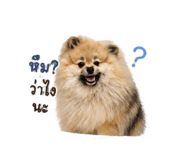 839799288