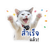839799978