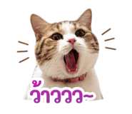 839800481
