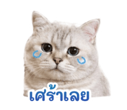 839800494