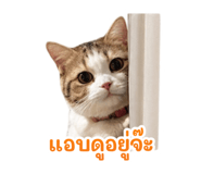 839800502