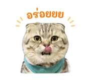 839800504