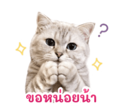 839800509