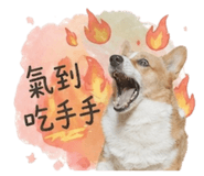 839800716