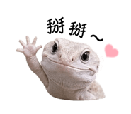 839800833
