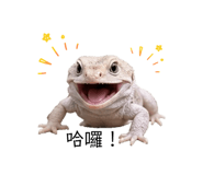 839800835