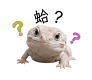 839800838