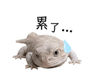 839800839