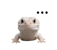 839800841