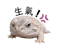 839800842